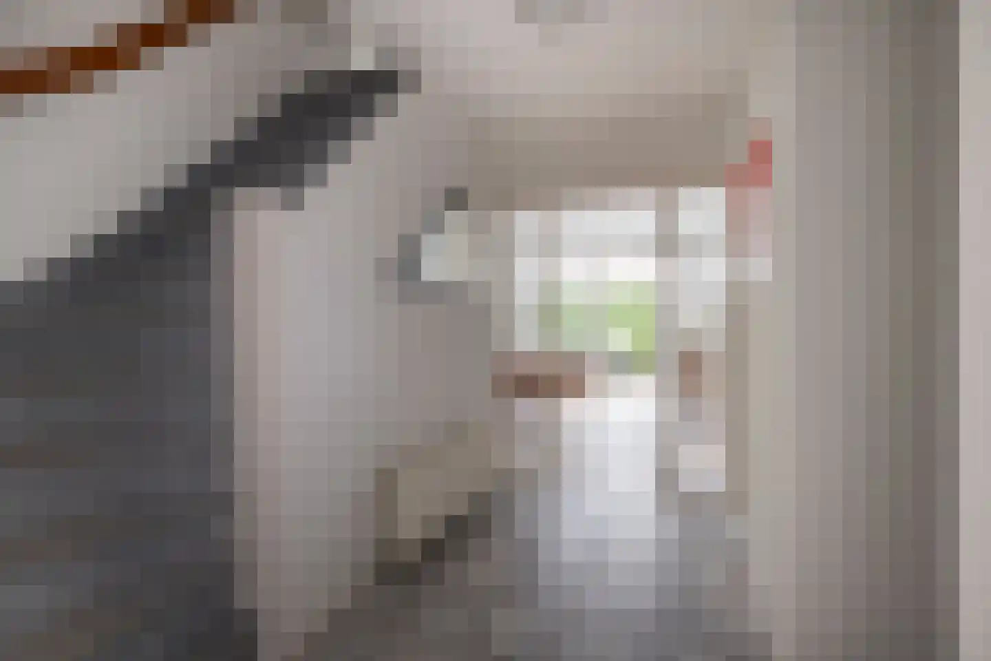 Kamerlingh Onneshof 5 Nijkerk thumbnail 17