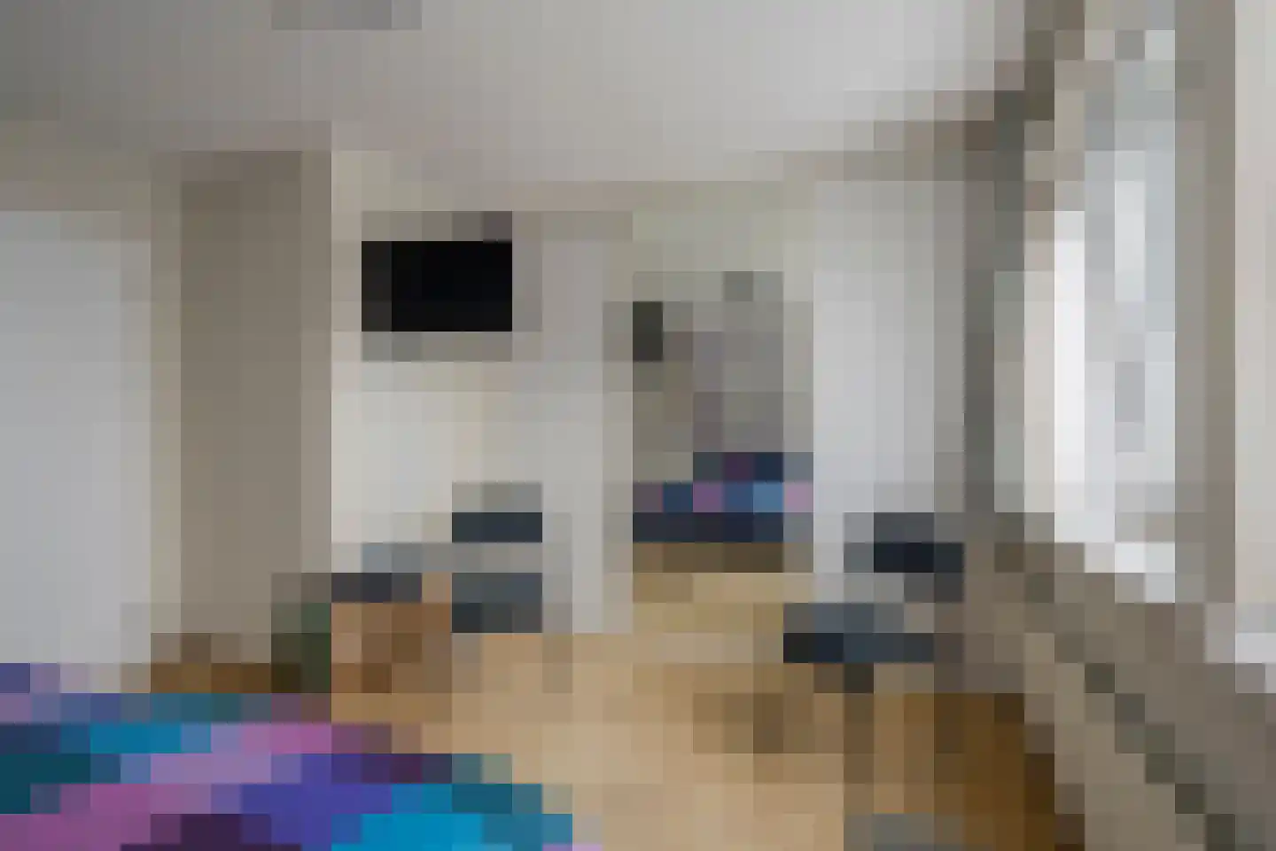Kamerlingh Onneshof 5 Nijkerk thumbnail 20