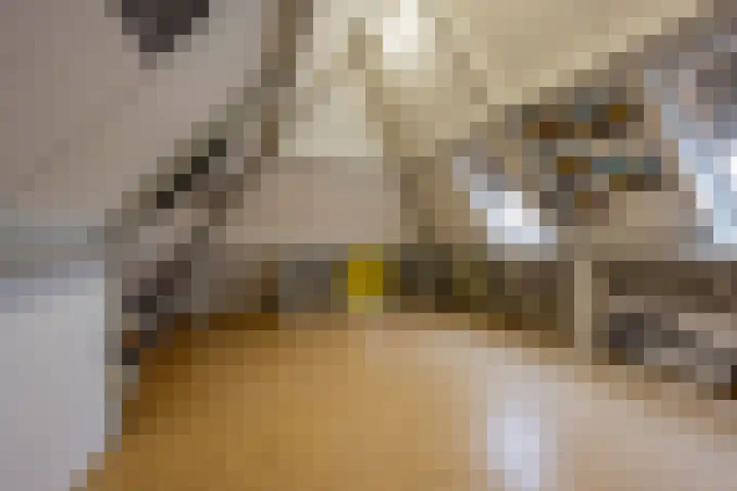 Kamerlingh Onneshof 5 Nijkerk thumbnail 29