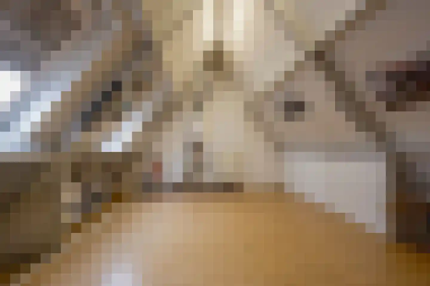 Kamerlingh Onneshof 5 Nijkerk thumbnail 30