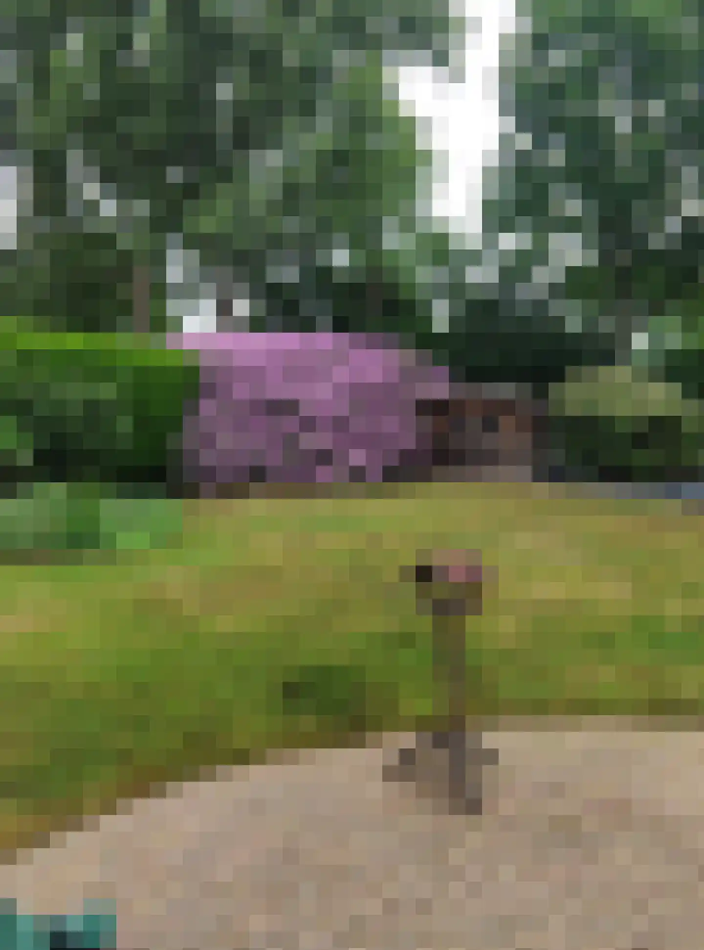 Kamerlingh Onneshof 5 Nijkerk thumbnail 39