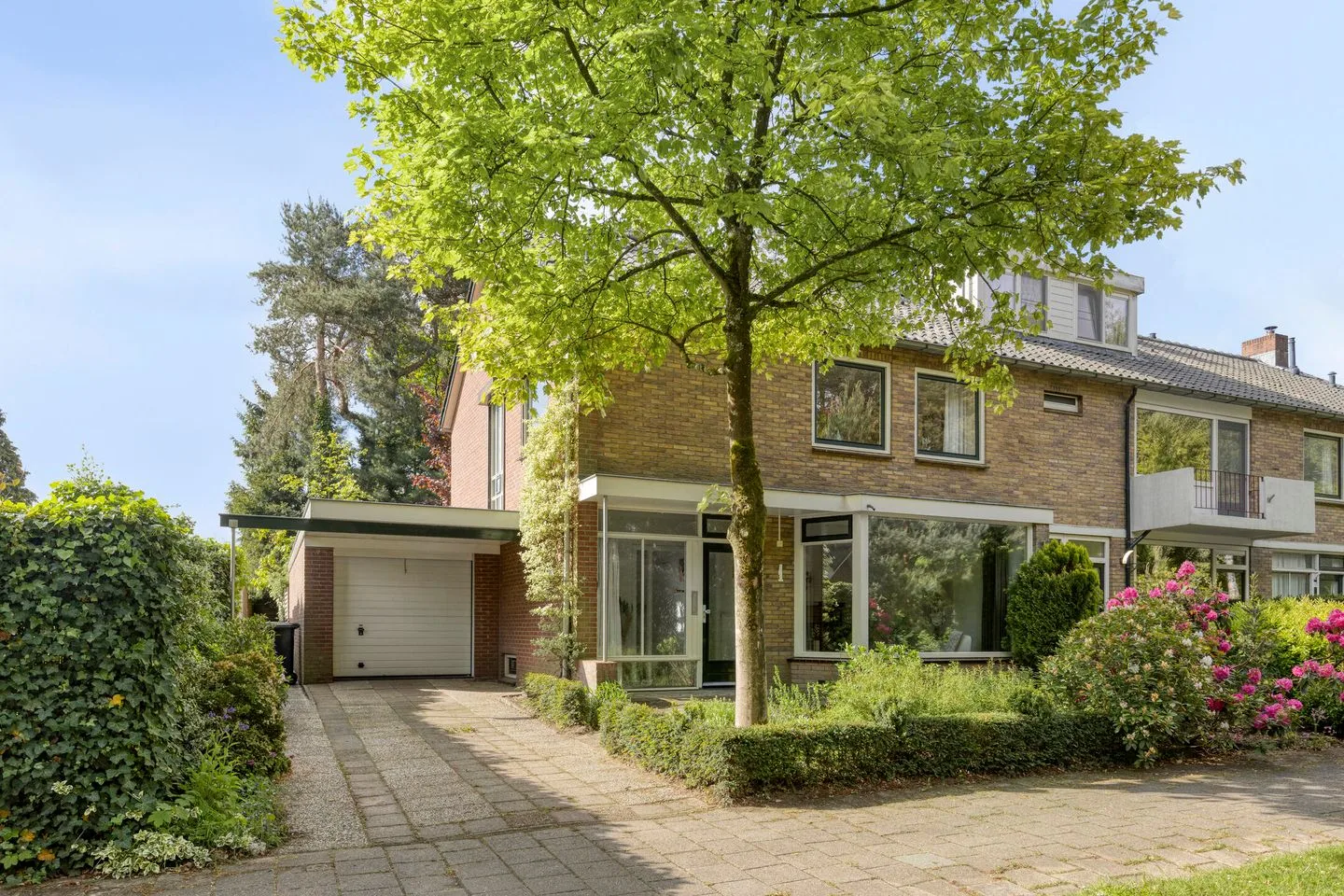 Kamerlingh Onneslaan 1 en Dieren