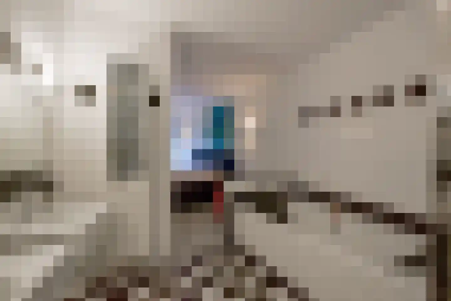 Kamerlingh Onneslaan 1 Badhoevedorp thumbnail 20