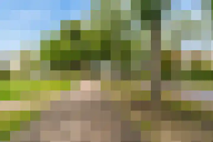 Kamerlingh Onneslaan 135 C Badhoevedorp thumbnail 25