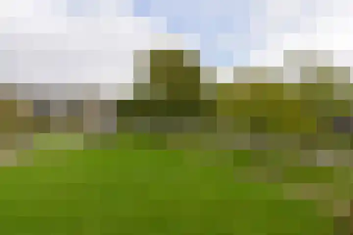 Kamerlingh Onneslaan 135 D Badhoevedorp thumbnail 23