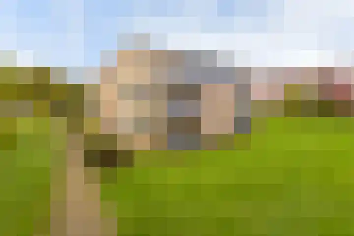 Kamerlingh Onneslaan 135 D Badhoevedorp thumbnail 28