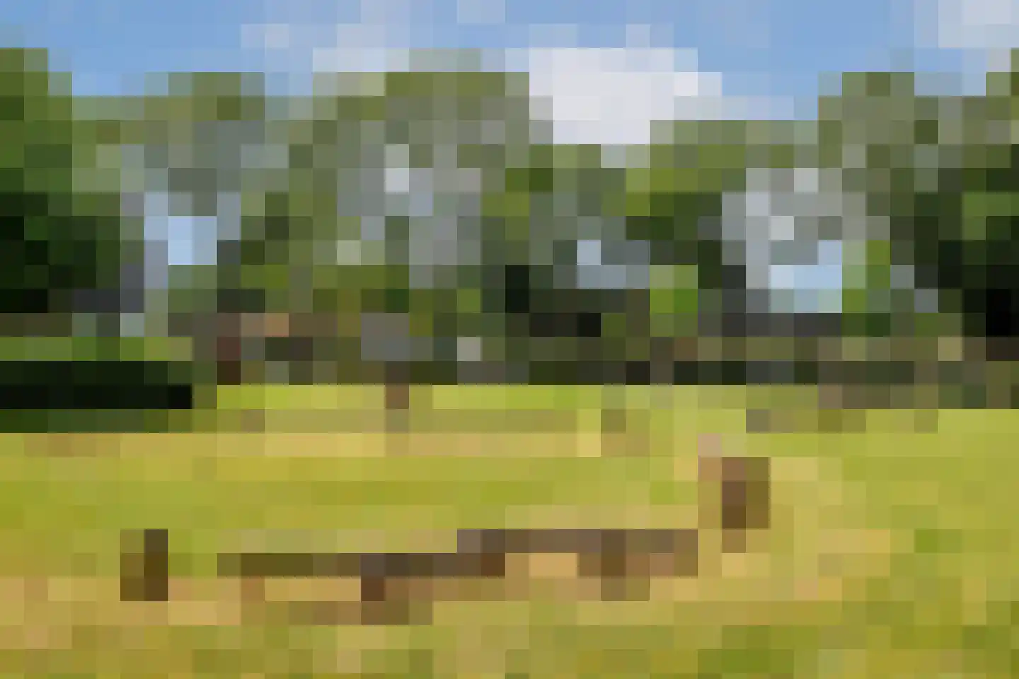 Kamerlingh Onneslaan 141 D Badhoevedorp thumbnail 22