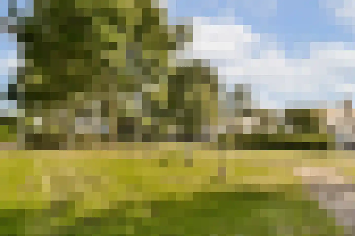 Kamerlingh Onneslaan 141 D Badhoevedorp thumbnail 23