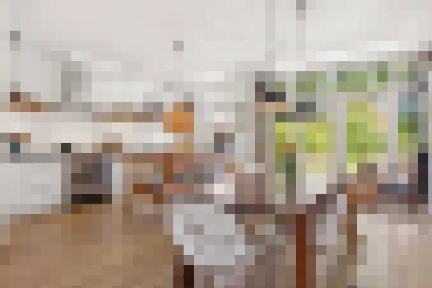 Kamerlingh Onneslaan 15 Enschede thumbnail 13