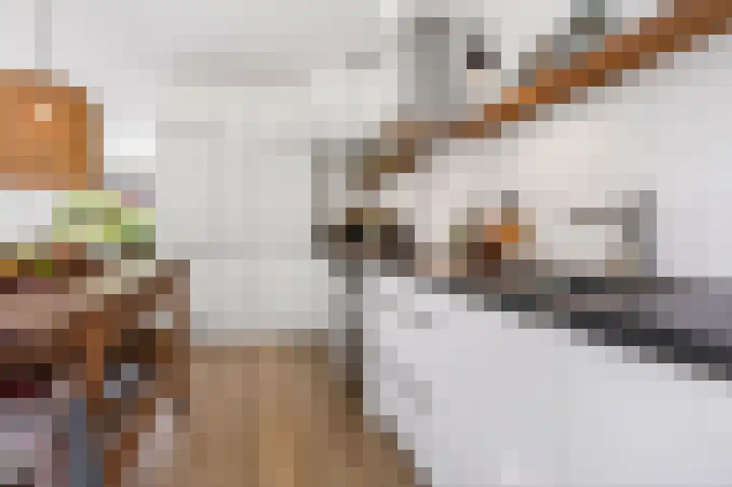 Kamerlingh Onneslaan 15 Enschede thumbnail 15