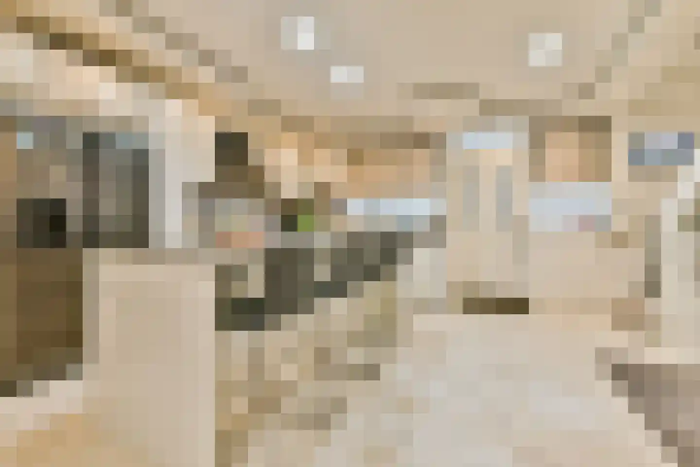 Kamerlingh Onneslaan 24 Amsterdam thumbnail 4