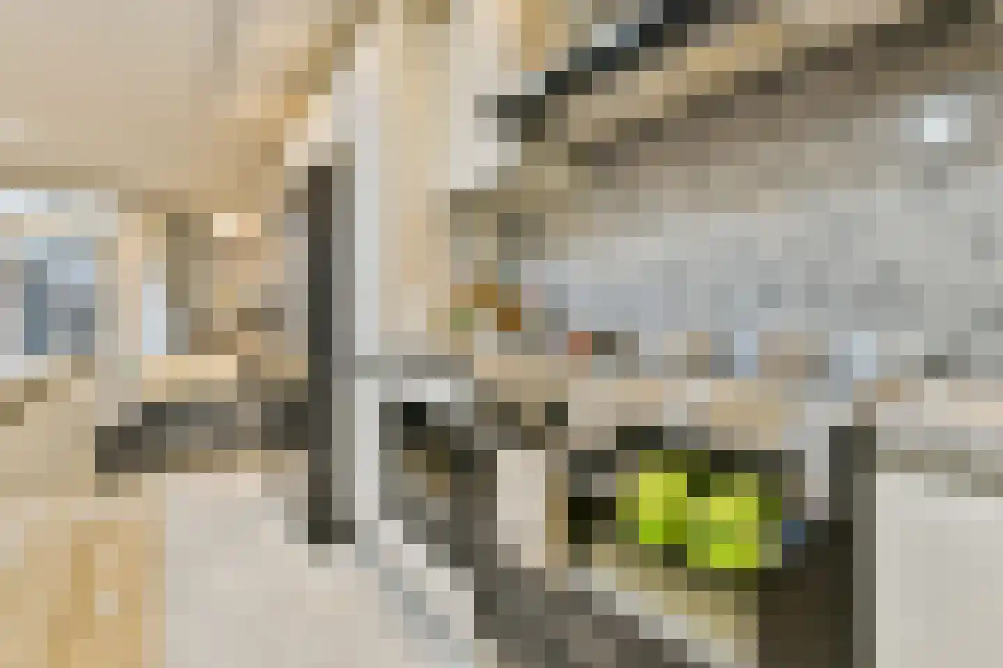 Kamerlingh Onneslaan 24 Amsterdam thumbnail 5