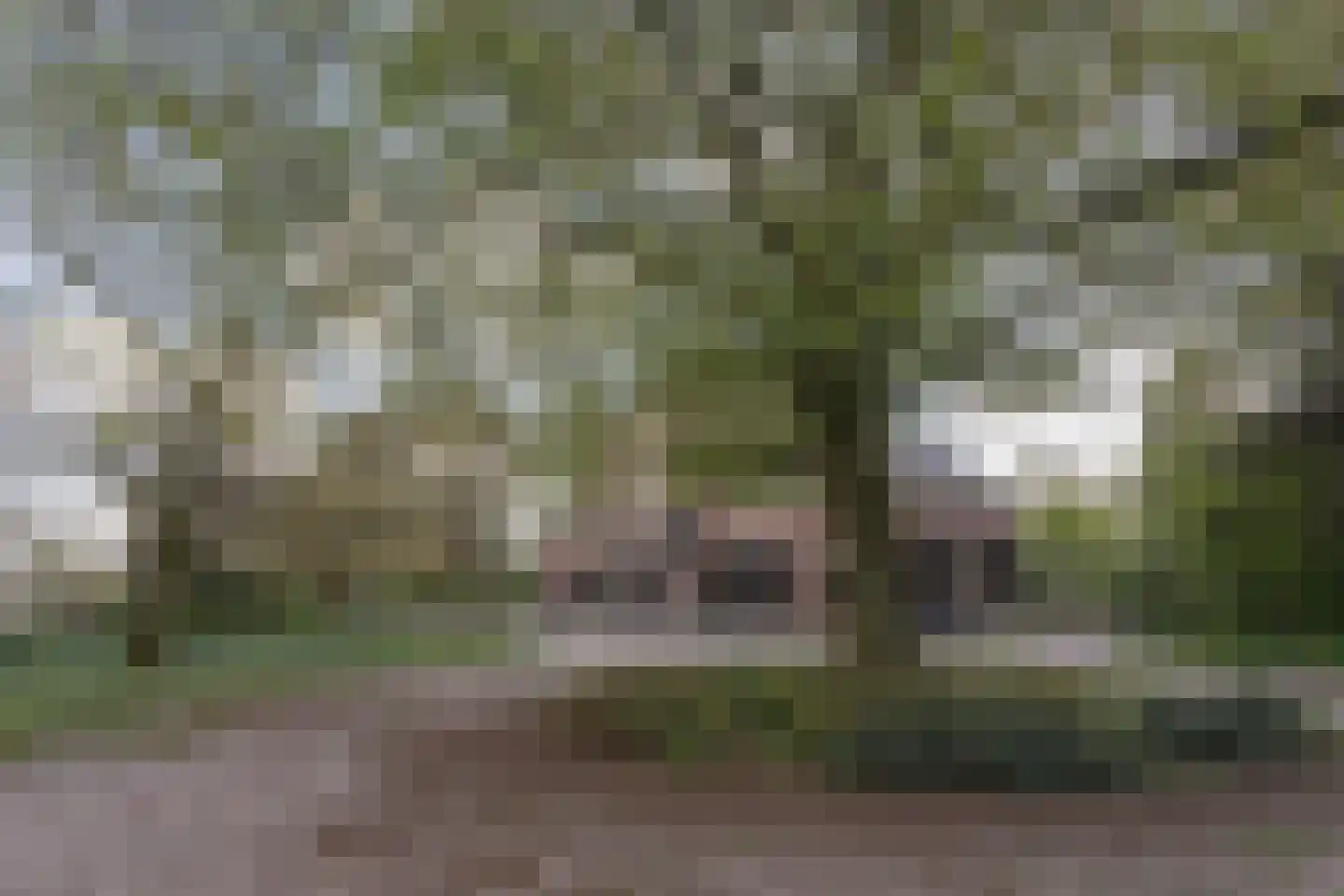 Kamerlingh Onneslaan 26 Amsterdam thumbnail 39