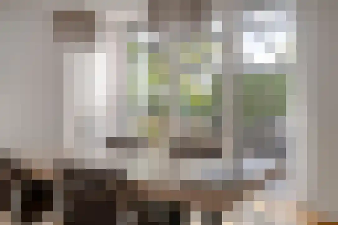 Kamerlingh Onneslaan 3 C Badhoevedorp thumbnail 19