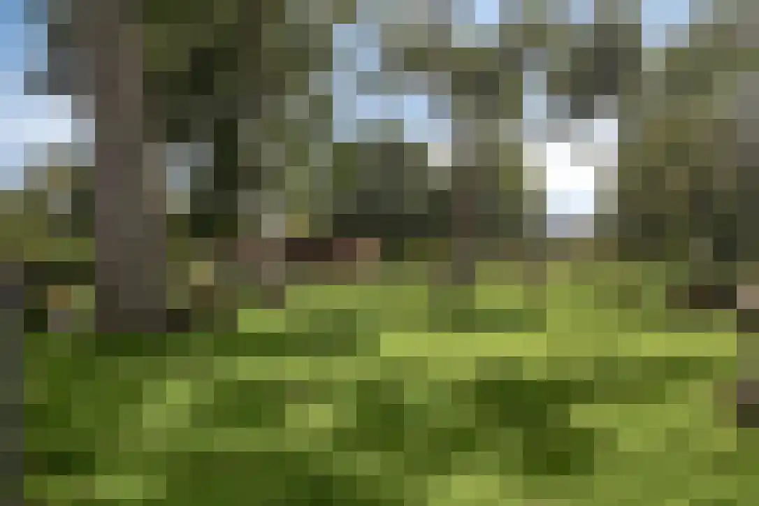 Kamerlingh Onneslaan 3 C Badhoevedorp thumbnail 44