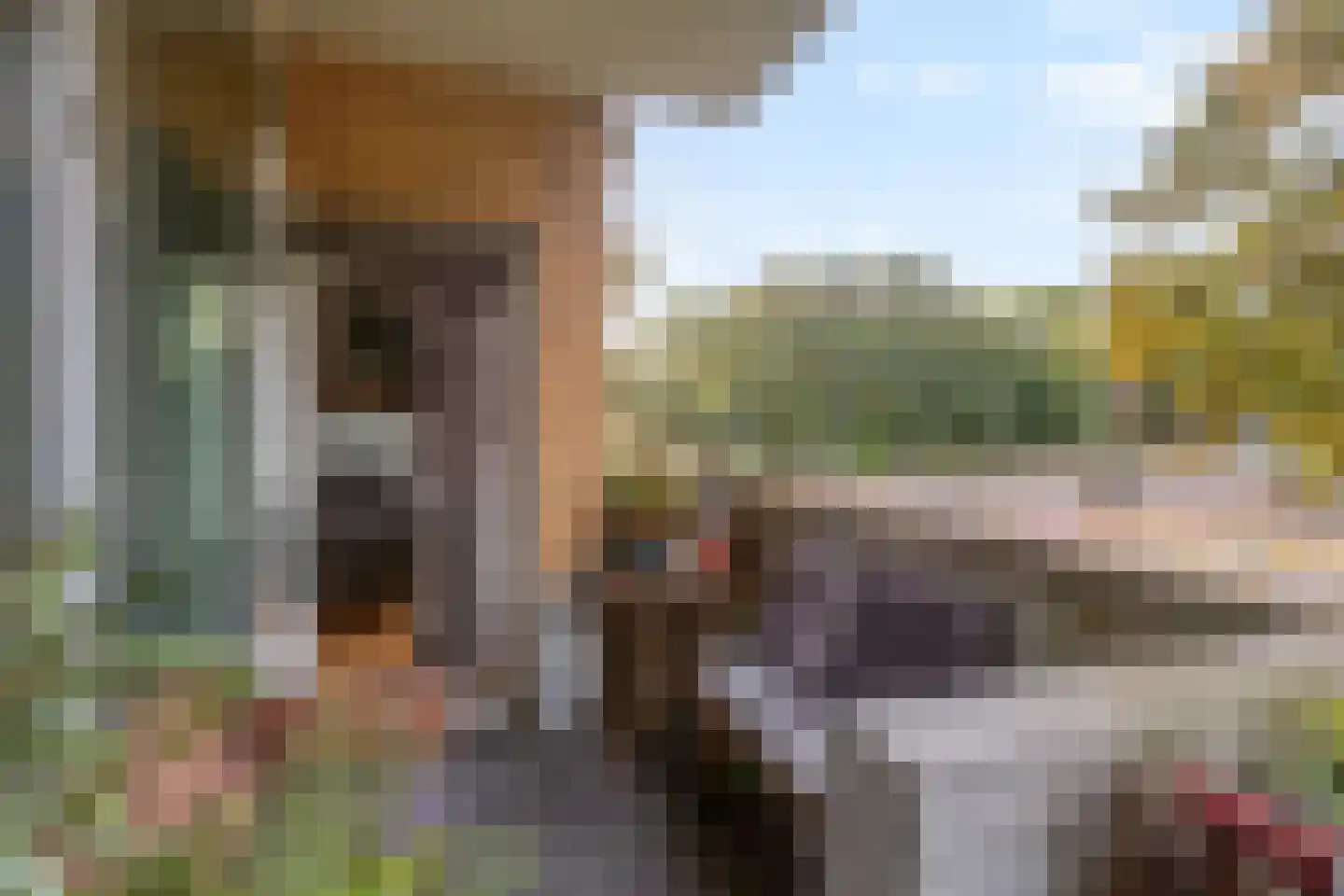 Kamerlingh Onneslaan 42 Amsterdam thumbnail 24