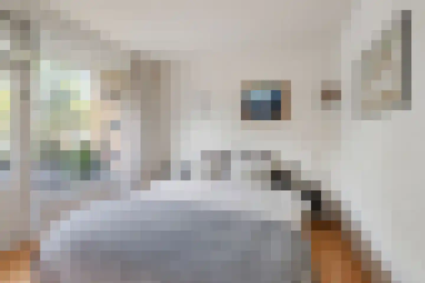 Kamerlingh Onneslaan 42 Amsterdam thumbnail 26