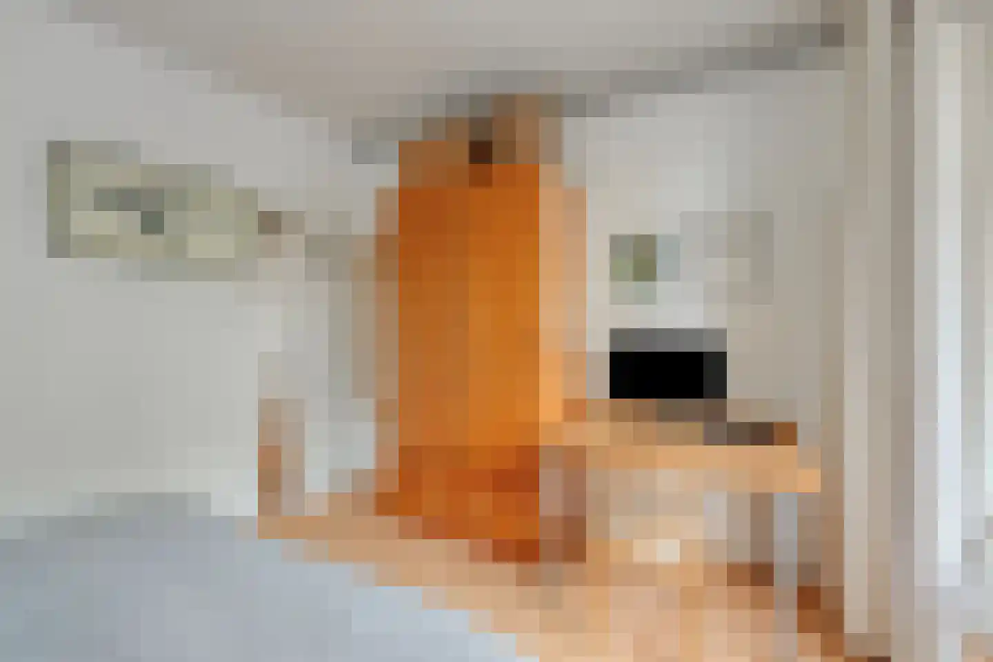Kamerlingh Onneslaan 42 Amsterdam thumbnail 27