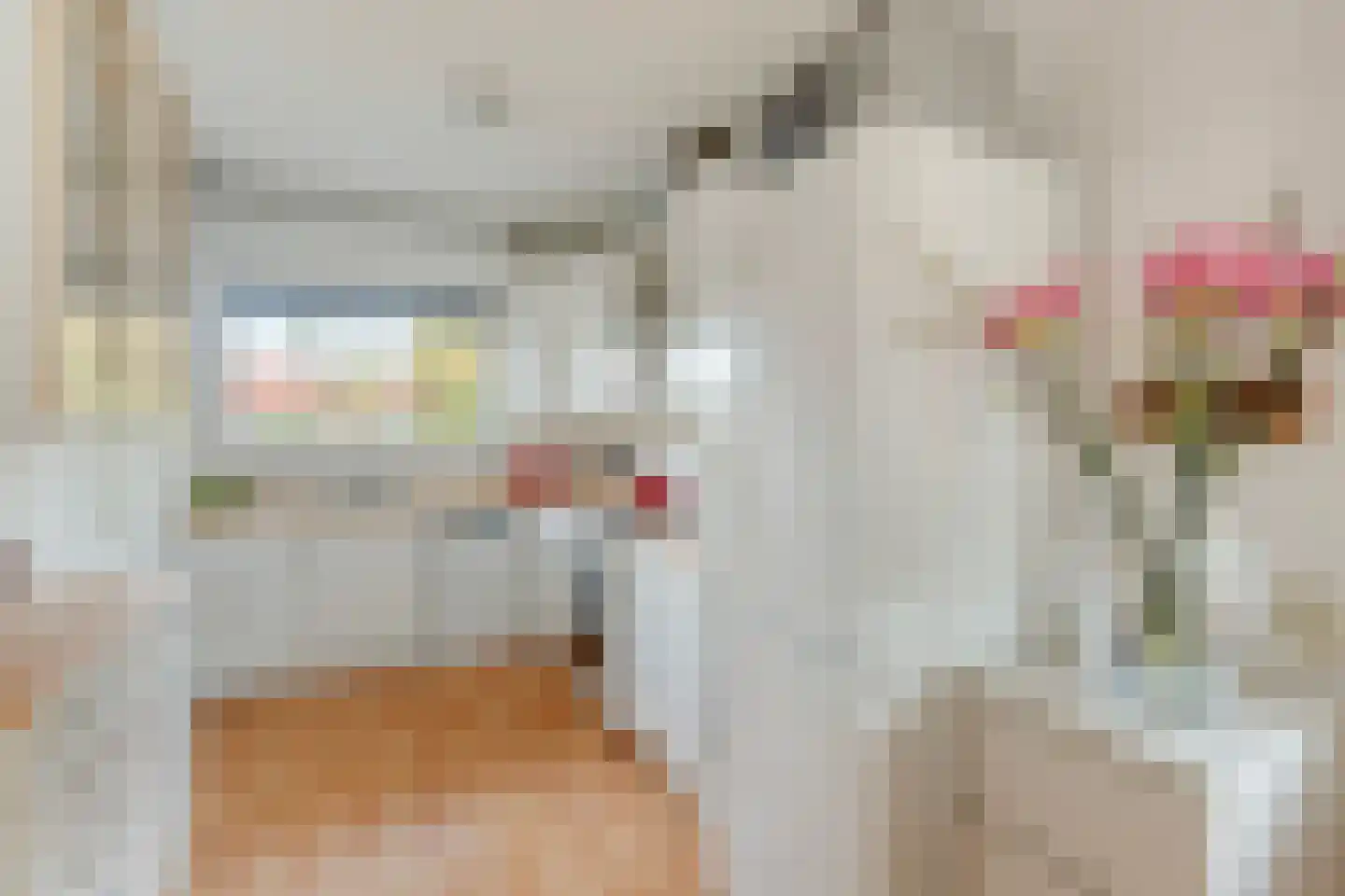 Kamerlingh Onneslaan 42 Amsterdam thumbnail 4