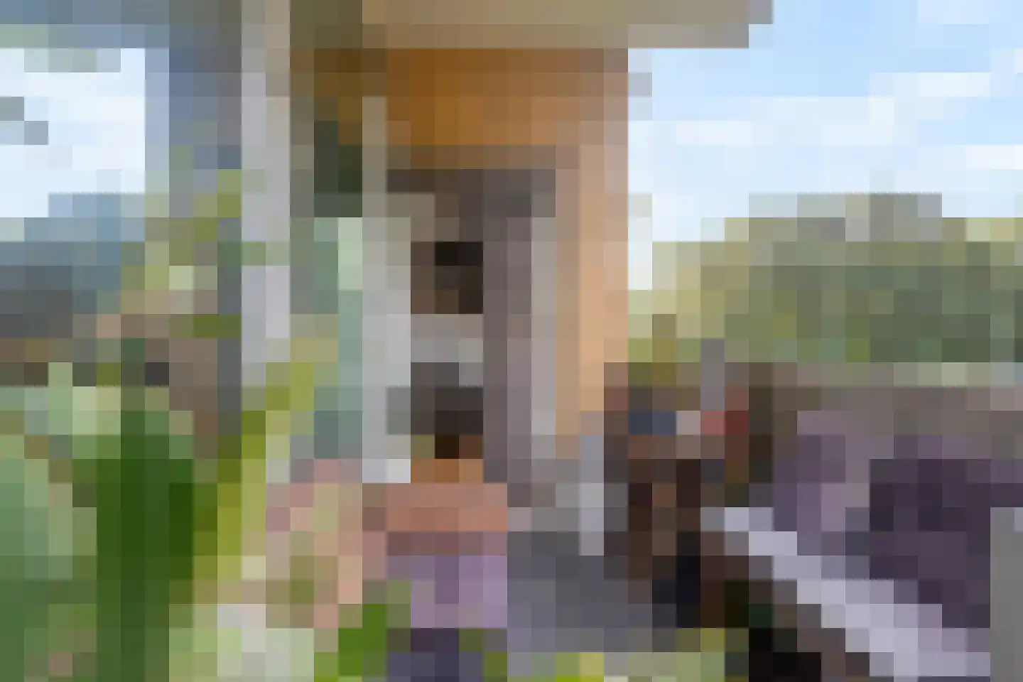 Kamerlingh Onneslaan 42 Amsterdam thumbnail 6