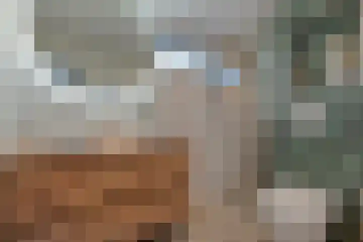 Kamerlingh Onneslaan 42 Zwolle thumbnail 30