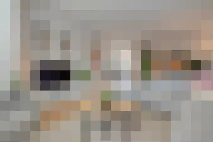 Kamerlingh Onneslaan 42 Zwolle thumbnail 9