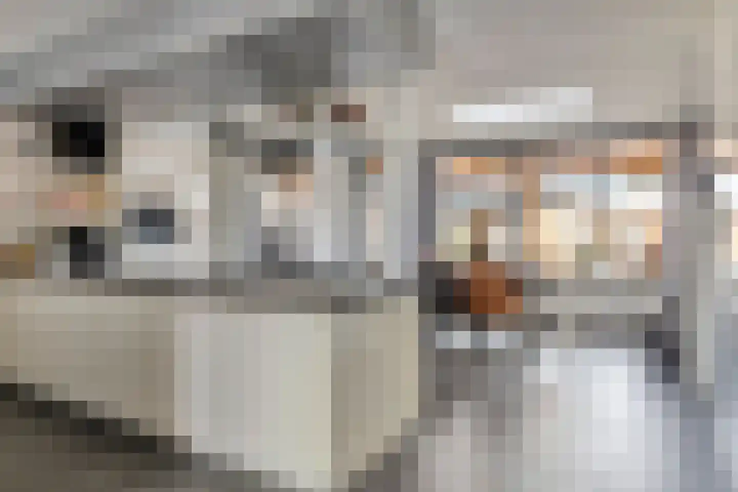 Kamerlingh Onneslaan 44 Papendrecht thumbnail 10