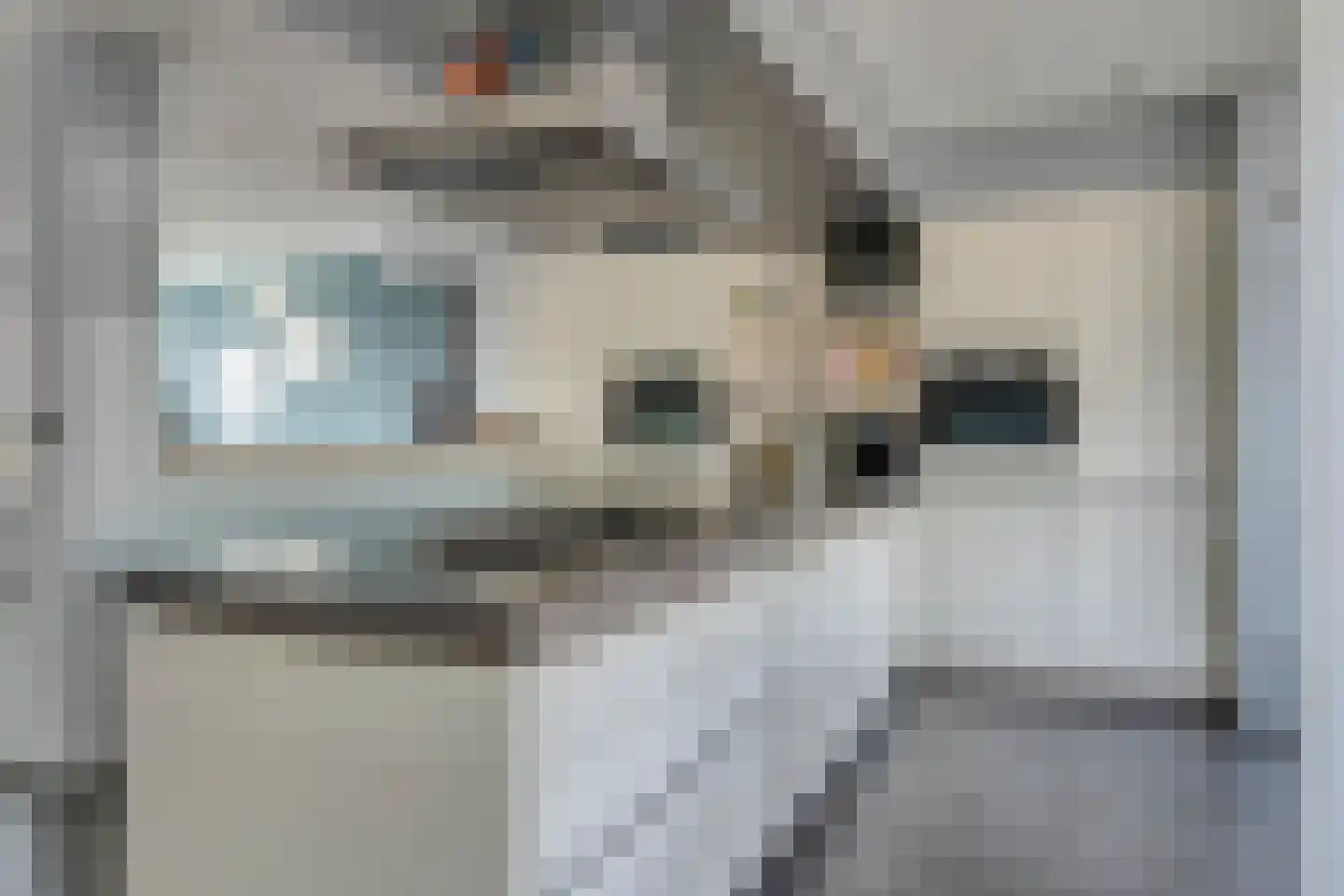 Kamerlingh Onneslaan 44 Papendrecht thumbnail 12