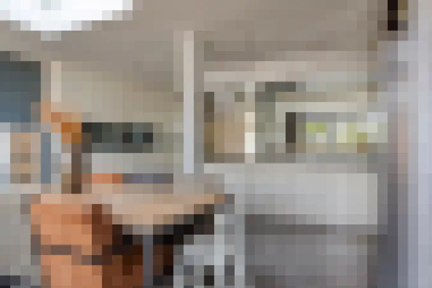 Kamerlingh Onneslaan 44 Papendrecht thumbnail 13