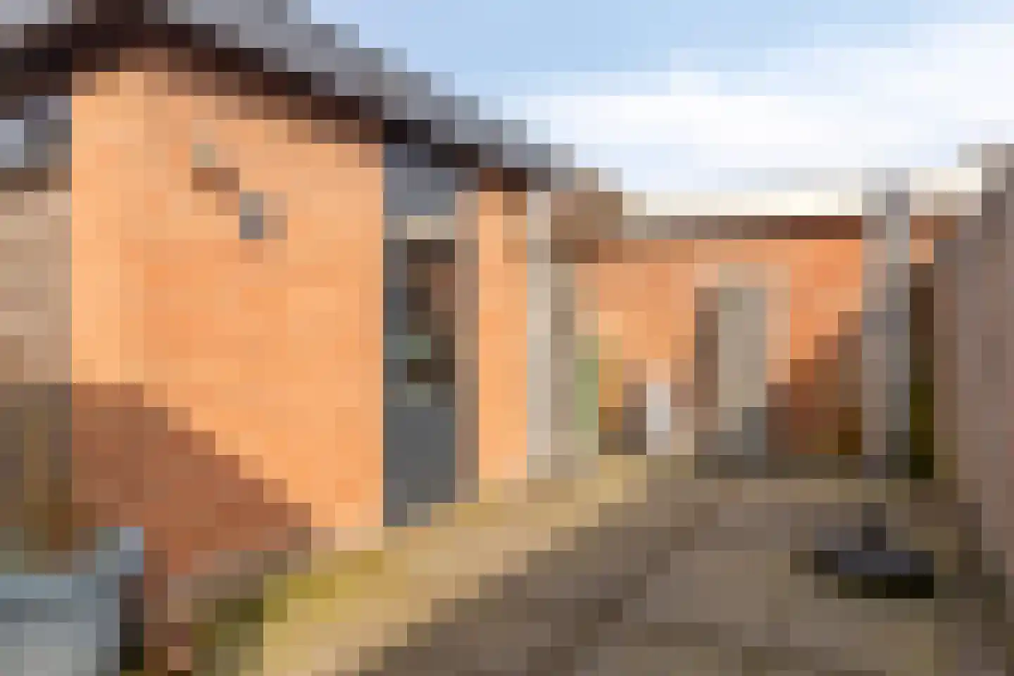 Kamerlingh Onneslaan 44 Papendrecht thumbnail 19