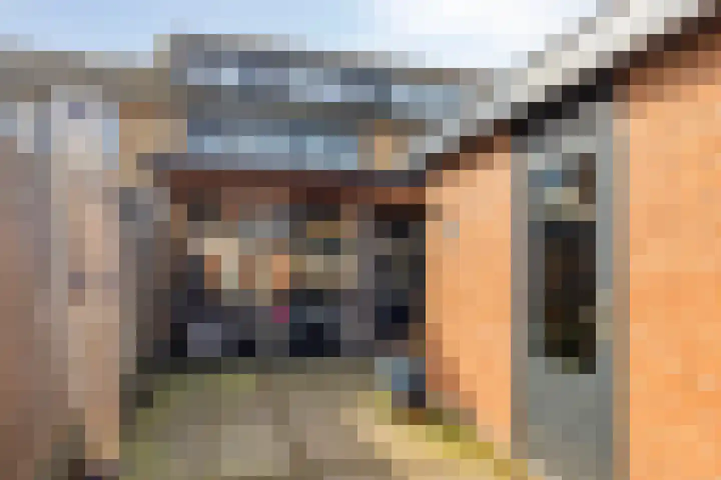 Kamerlingh Onneslaan 44 Papendrecht thumbnail 20