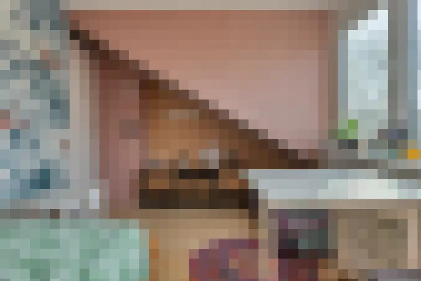 Kamerlingh Onneslaan 44 Papendrecht thumbnail 35