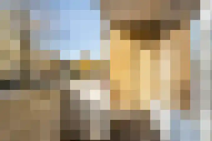 Kamerlingh Onneslaan 50 Amsterdam thumbnail 23
