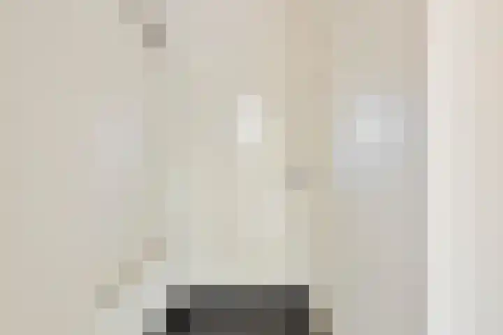 Kamerlingh Onneslaan 50 Amsterdam thumbnail 9