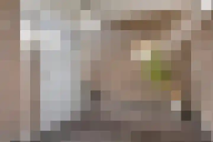 Kamerlingh Onneslaan 54 Amsterdam thumbnail 33
