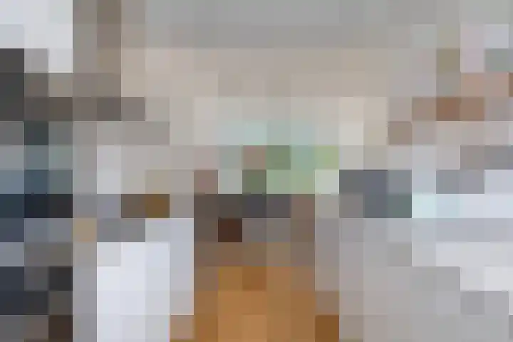 Kamerlingh Onneslaan 54 Amsterdam thumbnail 7