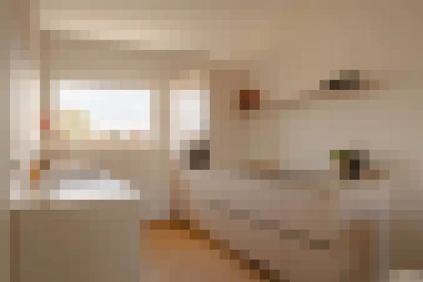 Kamerlingh Onneslaan 74 Amsterdam thumbnail 12
