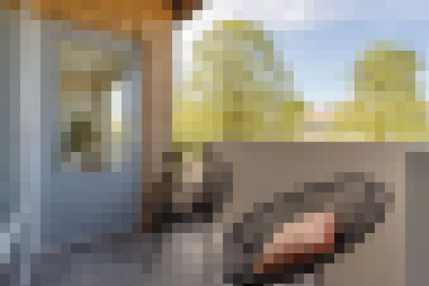 Kamerlingh Onneslaan 74 Amsterdam thumbnail 19