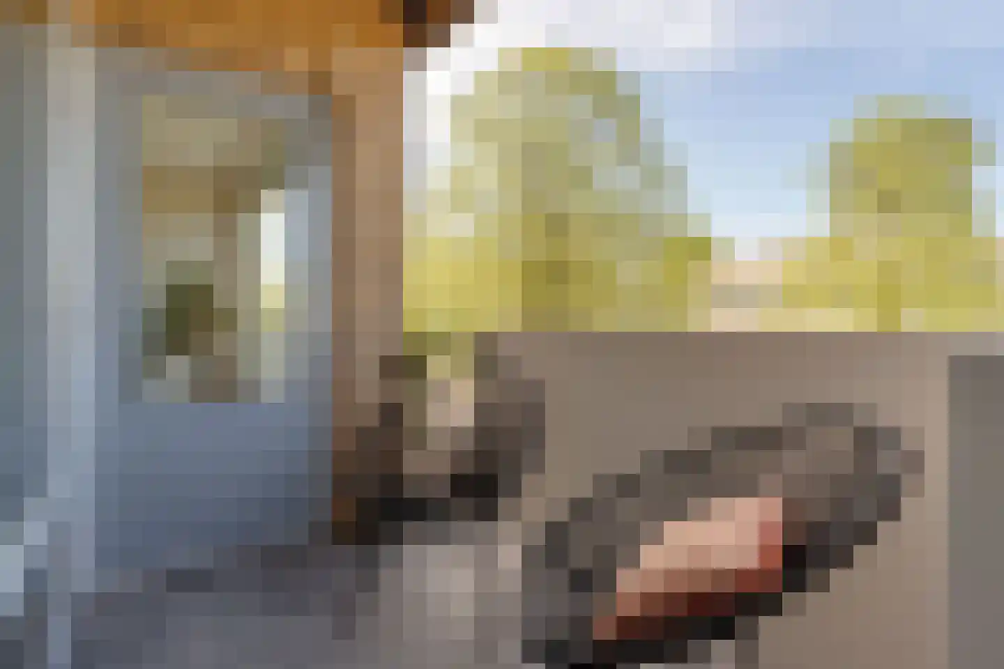 Kamerlingh Onneslaan 74 Amsterdam thumbnail 19