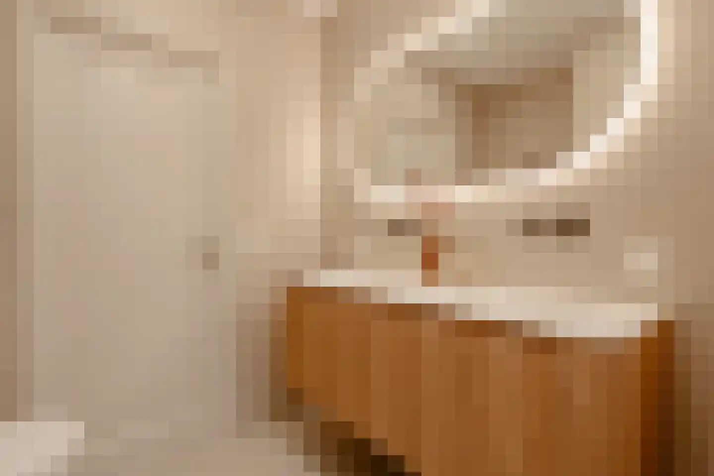 Kamerlingh Onneslaan 74 Amsterdam thumbnail 25