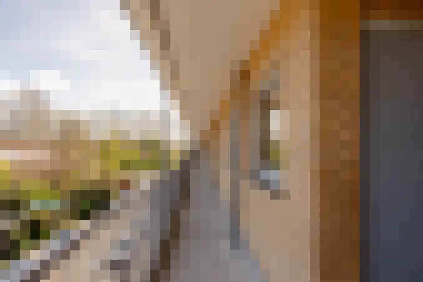 Kamerlingh Onneslaan 74 Amsterdam thumbnail 6