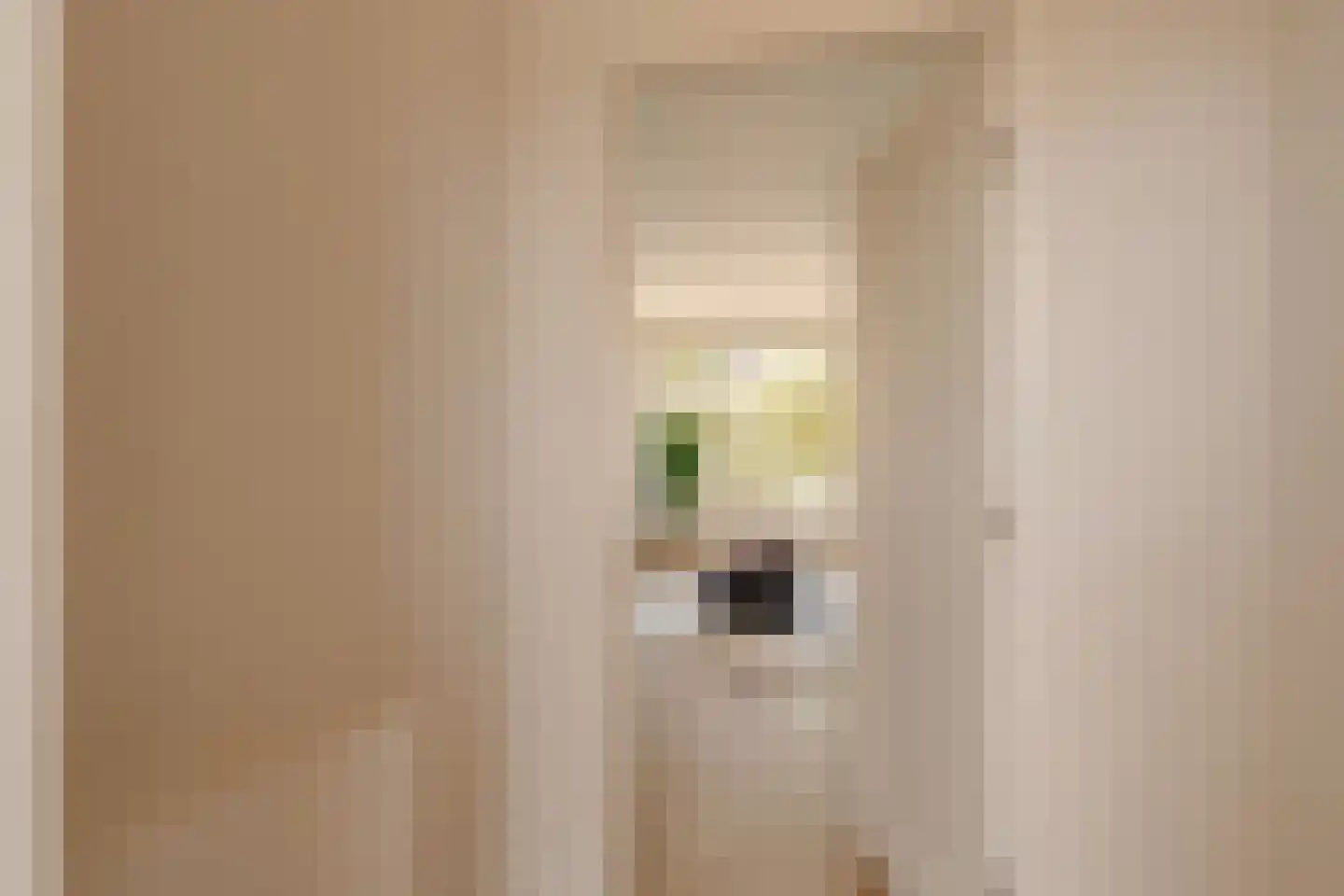 Kamerlingh Onneslaan 74 Amsterdam thumbnail 7