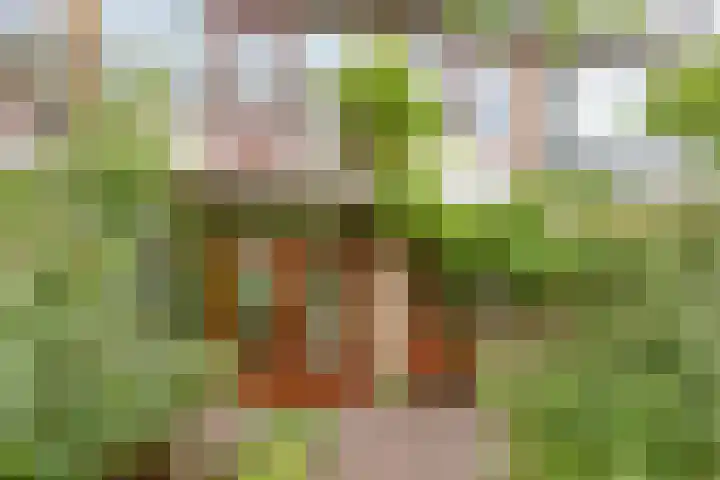 Kamerlingh Onneslaan 80 Badhoevedorp thumbnail 15