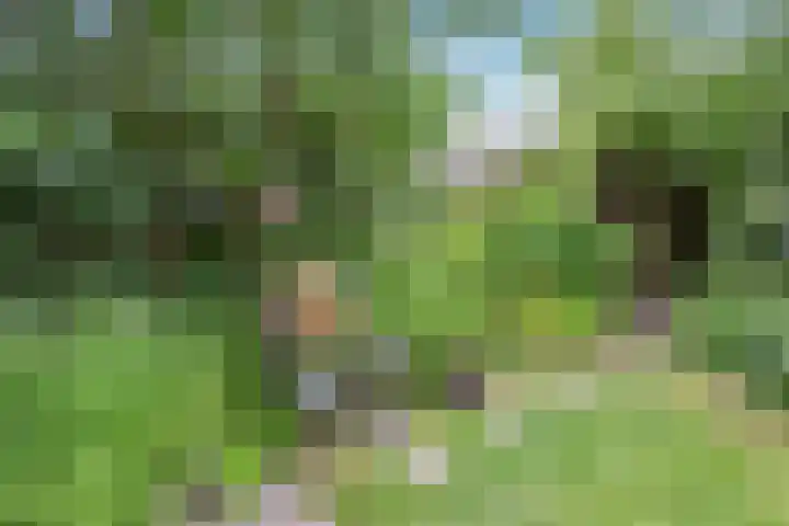 Kamerlingh Onneslaan 80 Badhoevedorp thumbnail 16