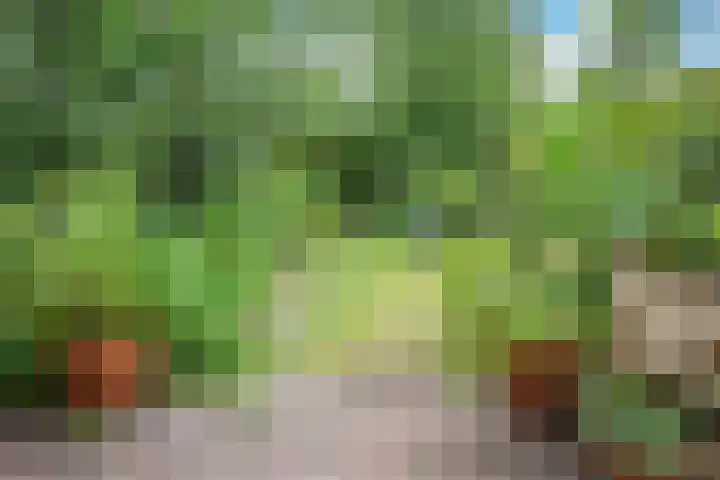 Kamerlingh Onneslaan 80 Badhoevedorp thumbnail 18