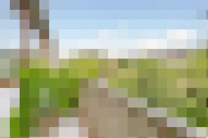 Kamerlingh Onneslaan 80 Badhoevedorp thumbnail 31