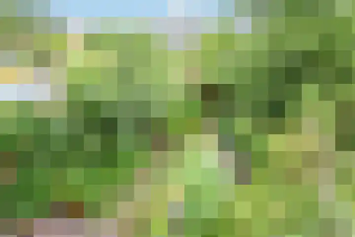 Kamerlingh Onneslaan 80 Badhoevedorp thumbnail 33