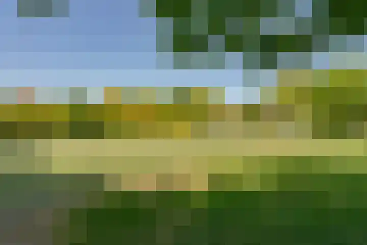 Kamerlingh Onneslaan 80 Badhoevedorp thumbnail 45