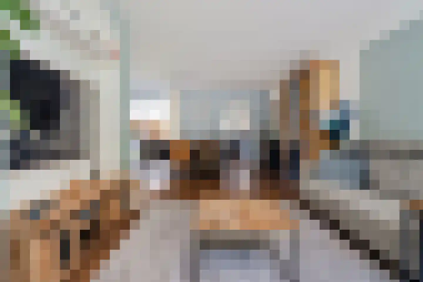 Kamerlingh Onneslaan 9 Soesterberg thumbnail 14