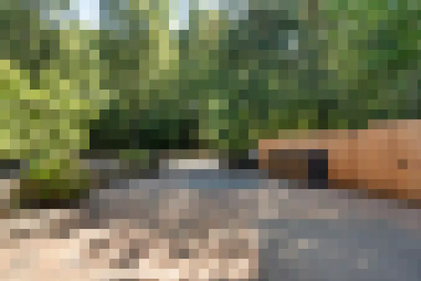 Kamerlingh Onneslaan 9 Soesterberg thumbnail 5